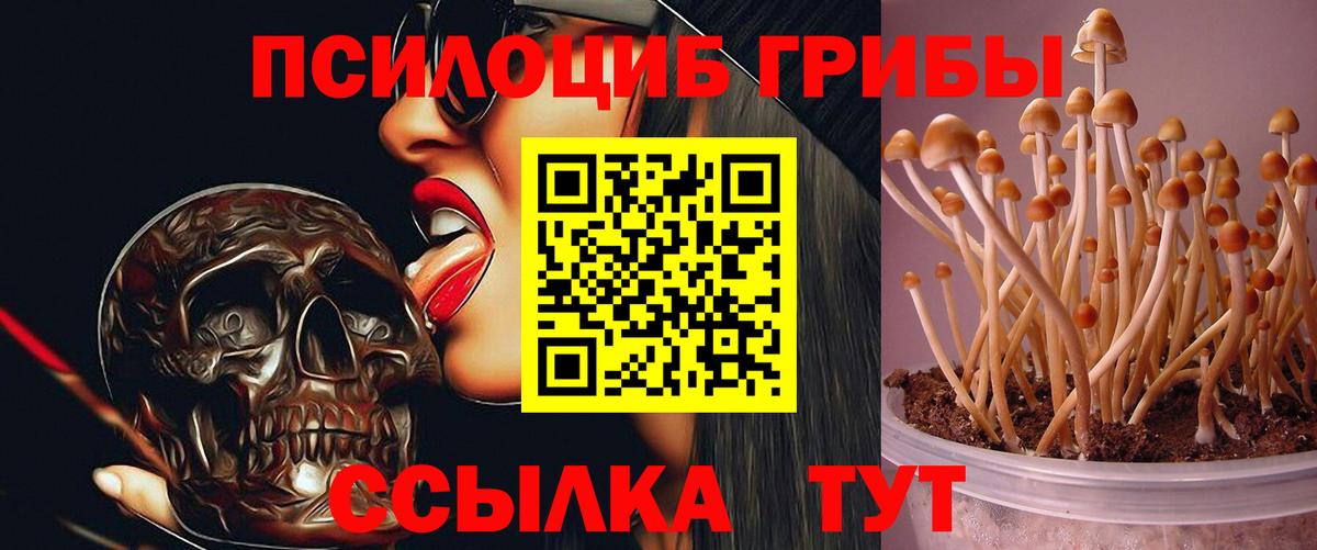 Выкса  цены наркотик  Вход с VPN  Галлюциногенные грибы Psilocybine cubensis 